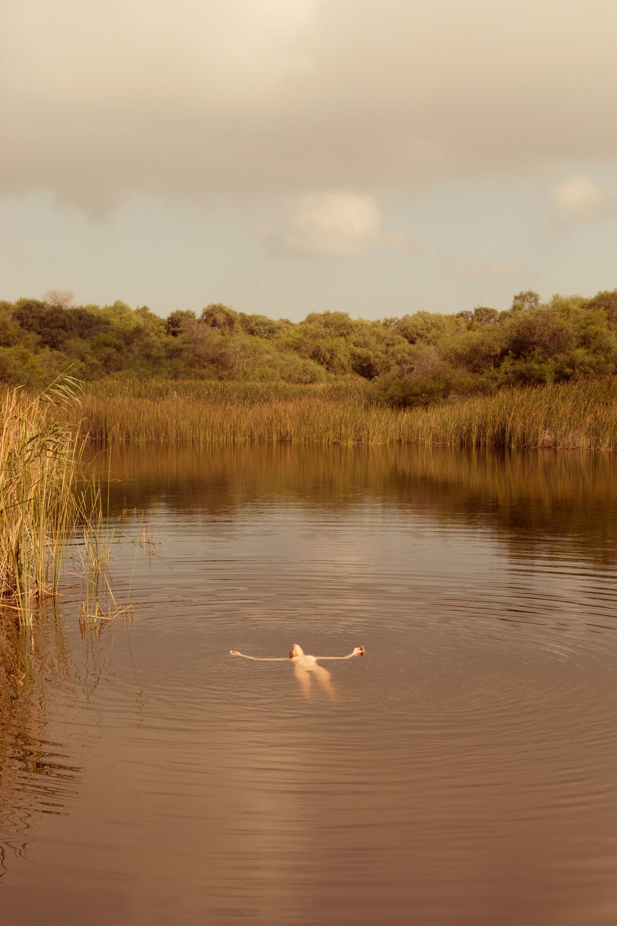 Ofer Dabush Limited edition fine art photography prints.