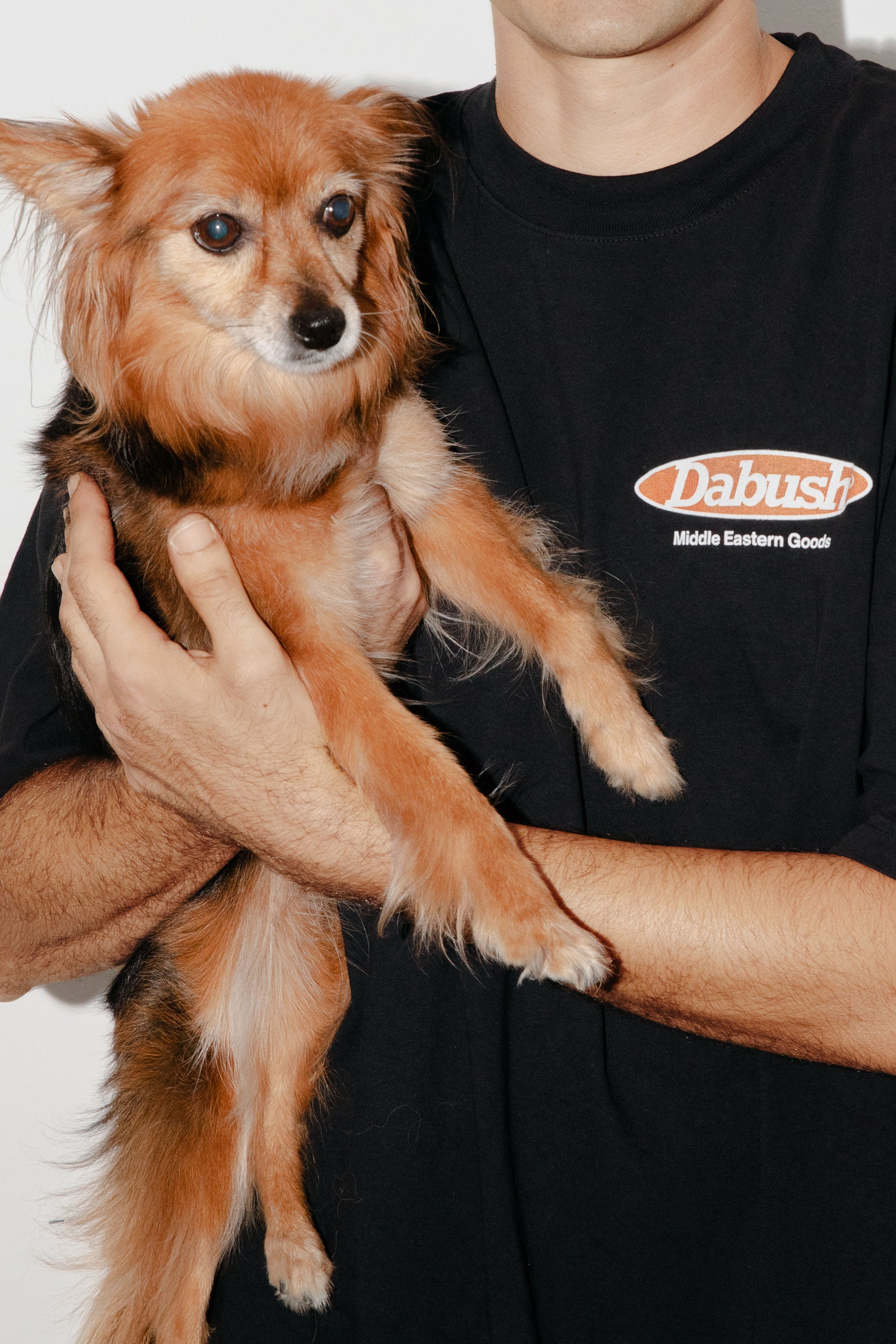 A model wearing an oversized DABUSH t-shirt in black, made from 100% cotton.

דוגמן לובש אוברסייז טישרט של דבוש בצבע שחור, עשויה 100% כותנה עם לוגו.
